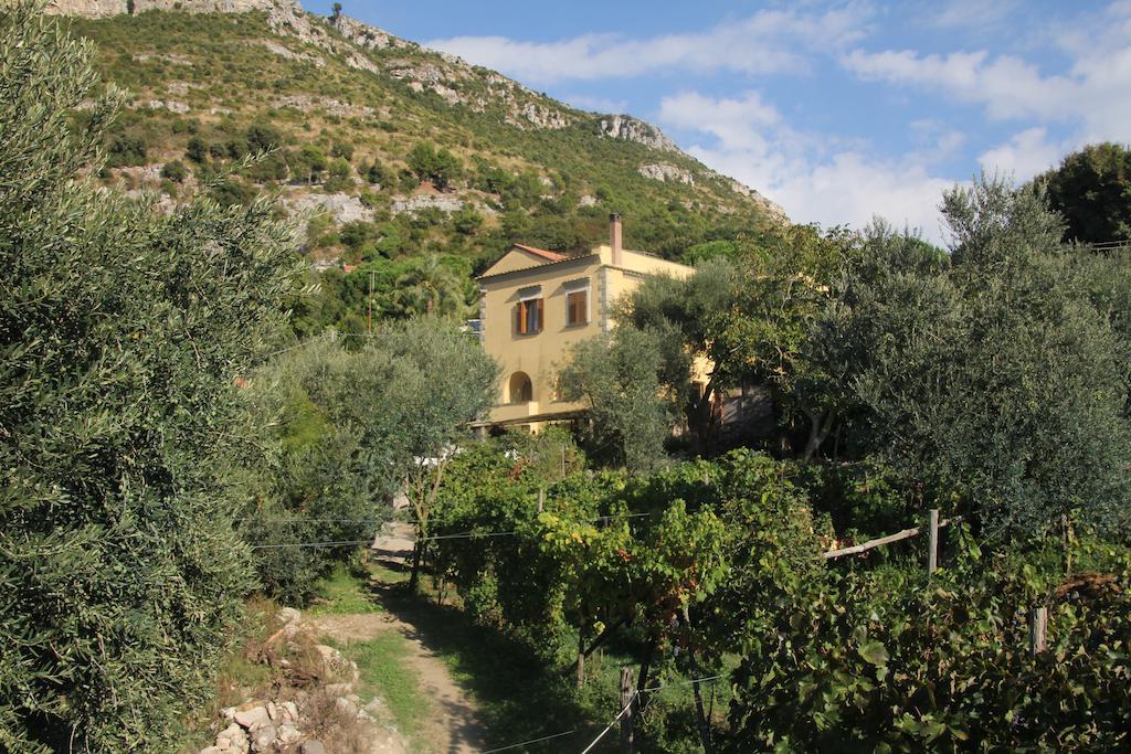 Villa Agriturismo Antico Casale Colli Di San Pietro Piano di Sorrento Exterior foto